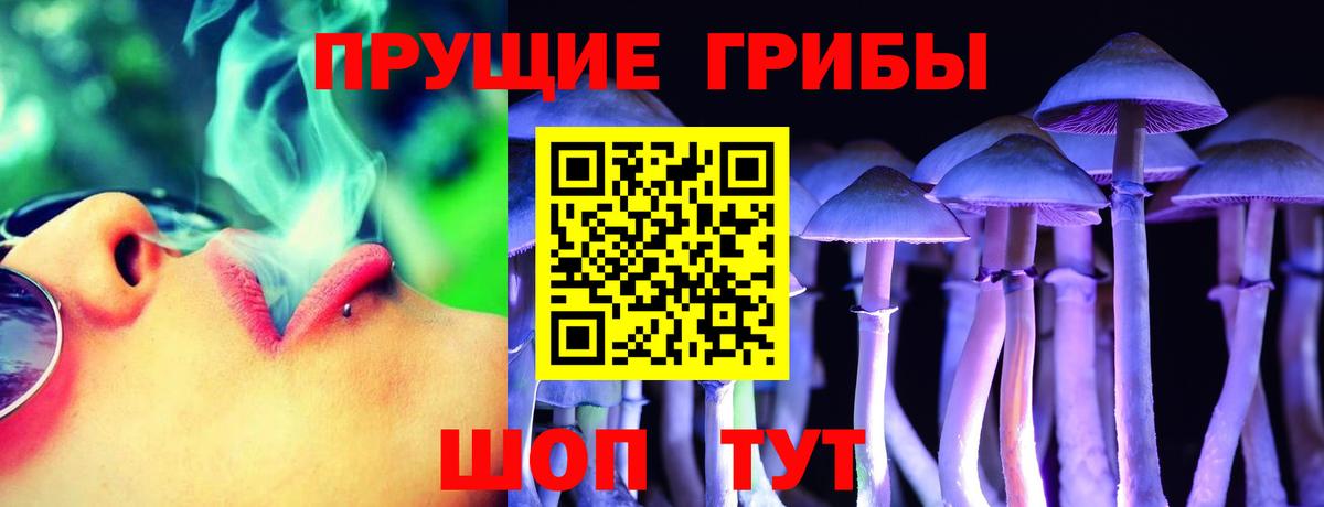 дарнет шоп  Псилоцибиновые грибы ЛСД  Вход с VPN  Ростов Великий 